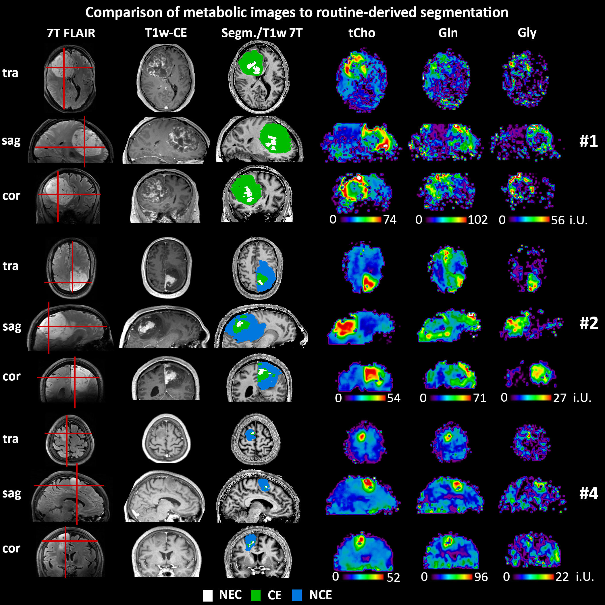 © Universitätsklinik für Neurochirurgie