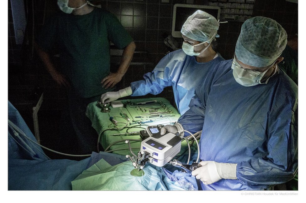 © MedUni Wien / Christian Houdek © MedUni Wien / Christian Houdek