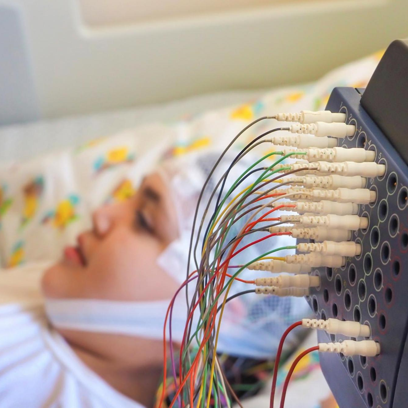 © vasara/Shutterstock.com